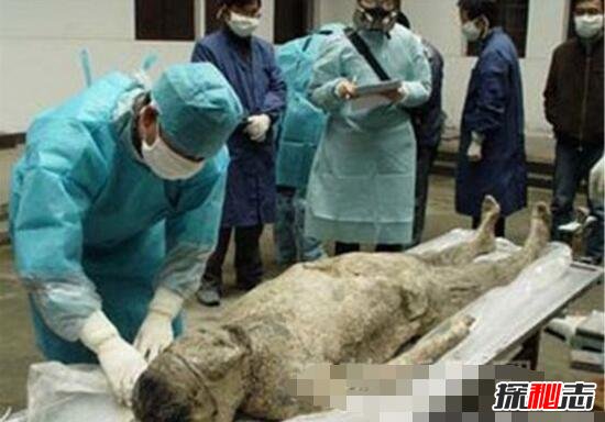 成都考古发现貂蝉墓,貂蝉死后遭人奸尸(体内有