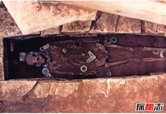 猪八戒墓在哪里，河南洛阳发现猪八戒陵墓(真实