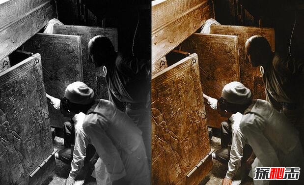 金字塔闯入者必死之谜:金字塔进去的人都死了(致命病菌)